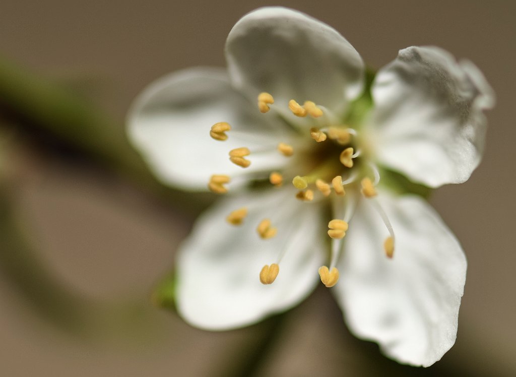 DSC 0005 00005