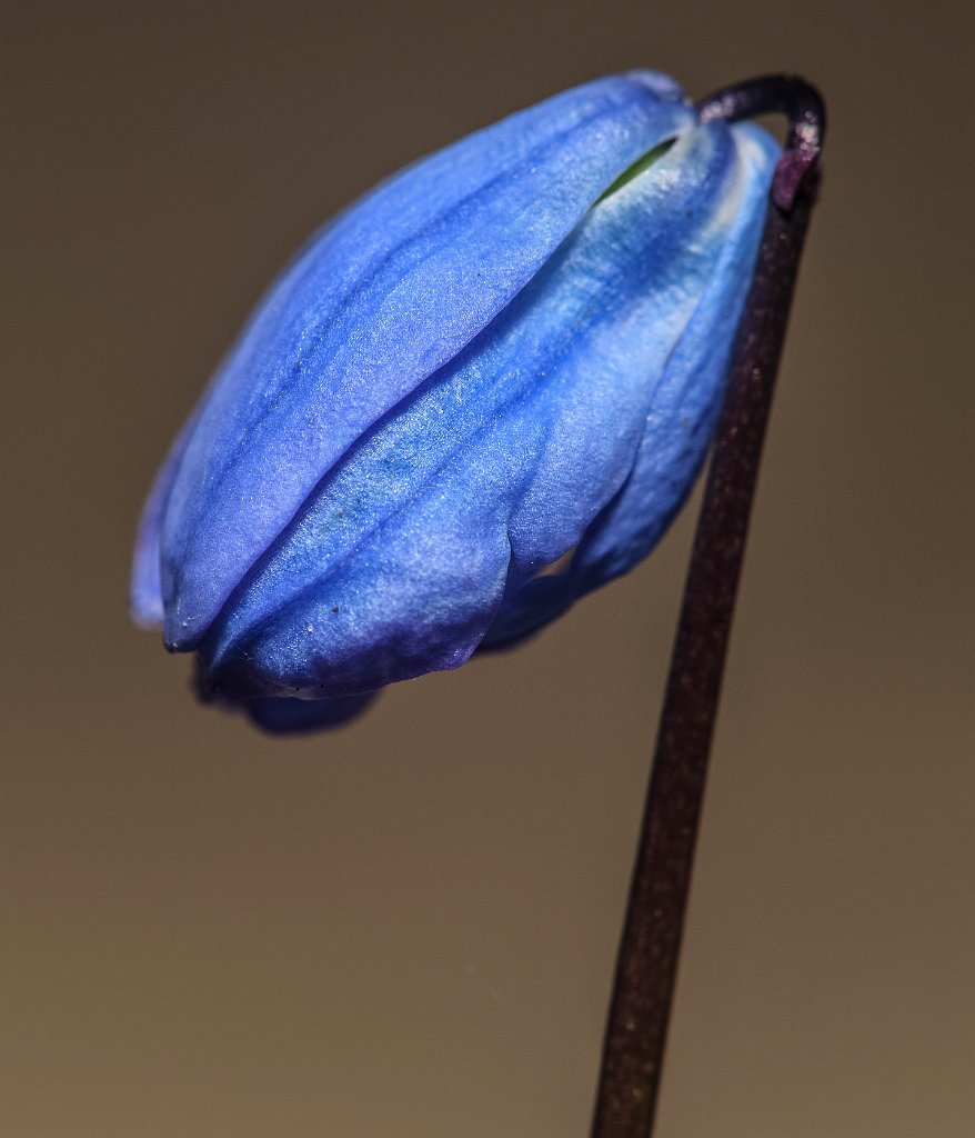 DSC 0053 00053