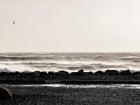 200 6907