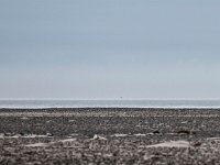 D3X 0363 : naturbilleder