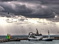 D3X 2288 : ff-både