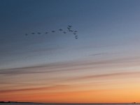D3X 8508 : 2018-skagennu