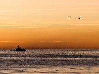 D3X 8540 : naturbilleder