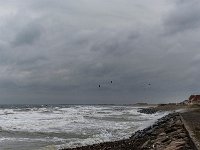 DSC 4609 : naturbilleder