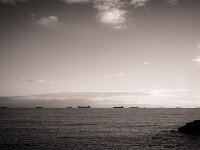 DSC 5313