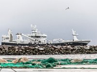 DSC 8576 : 2018-skagennu, ff-både