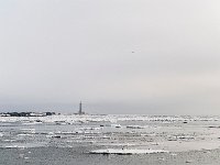 D302353